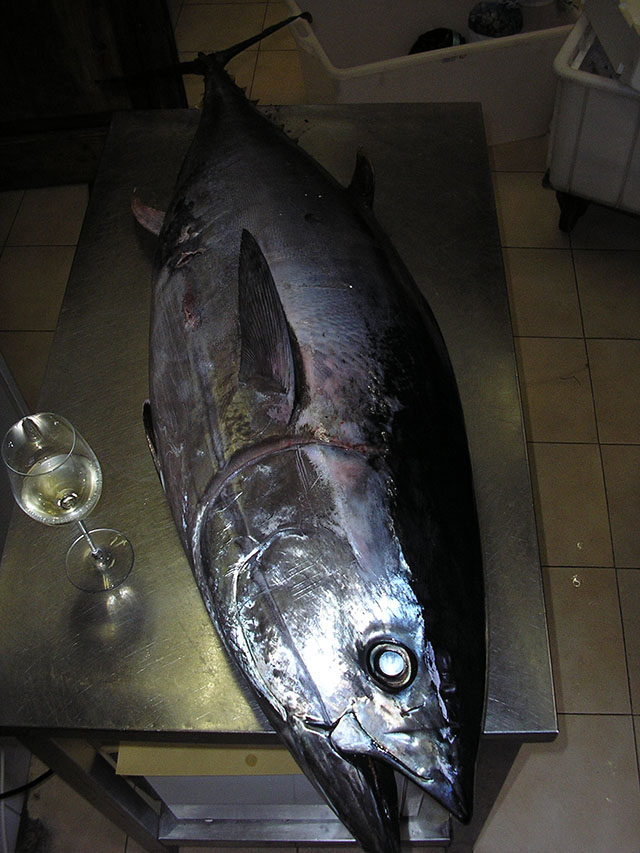 blackbass ristorante